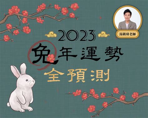 屬狗2023運勢|【2023兔年運勢全預測16】生肖狗勤奮努力必有相應。